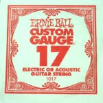Ernie Ball Plain .017 String