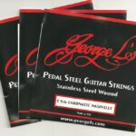 George L’s Nashville E9th Stainless Steel E9th 10 String ‘3 Set Special’