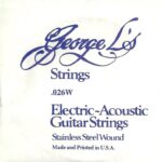 George L’s Stainless .026 Wound String
