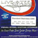LIVE Standard E9th Stainless 10 String Set