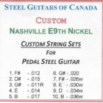 SGC Custom E9th Nickel – 10 String Set