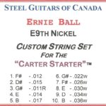 SGC Custom Ernie Ball Nickel 10 String Set for Carter-Starter
