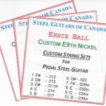 SGC Custom Ernie Ball Nickel E9th 10 String – 3 Set Special