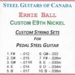 SGC Custom Ernie Ball E9th Nickel – 10 String Set