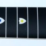 Carter Coloured 12 String Fretboard
