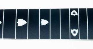 Carter Black & White 10 String Fretboard