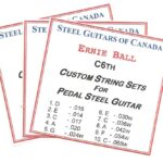 SGC Custom Ernie Ball C6th Nickel 10 String – ‘3 Set Special’