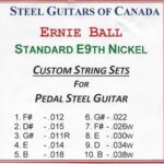 SGC Standard E9th Nickel – 10 String Set