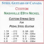 SGC Nashville E9th Nickel – 10 String Set